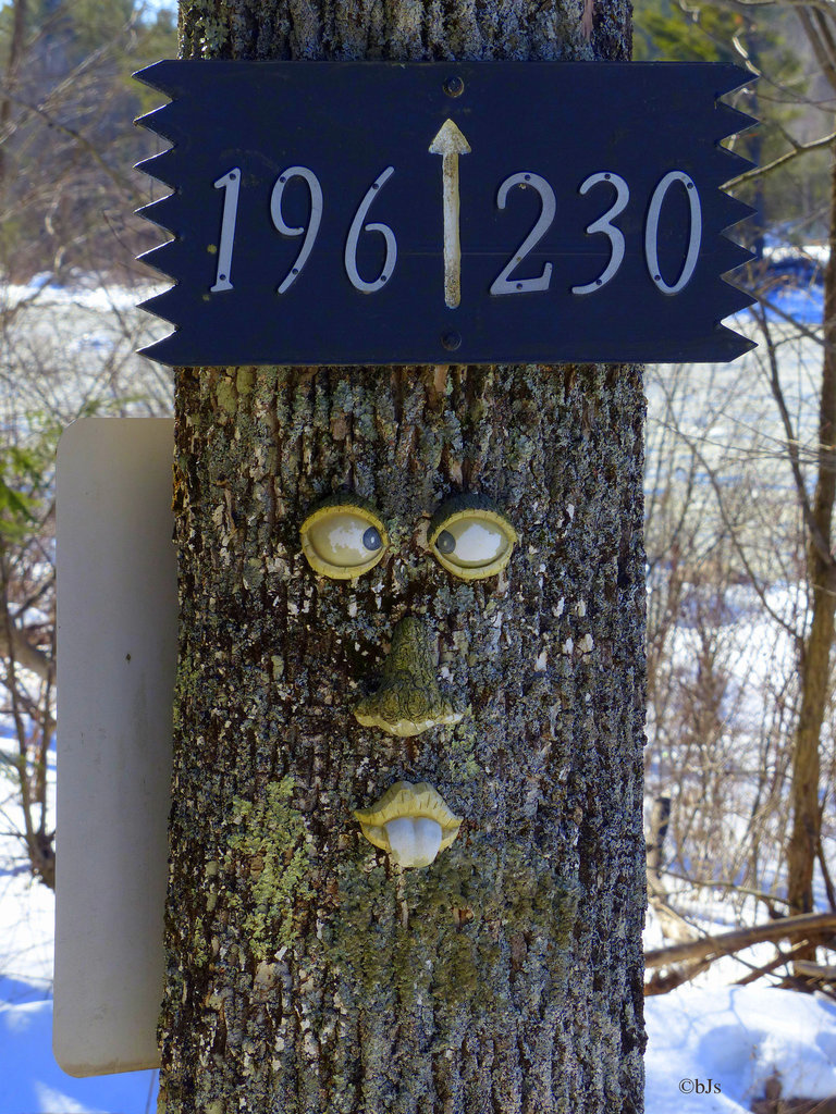 L'arbre facétieux