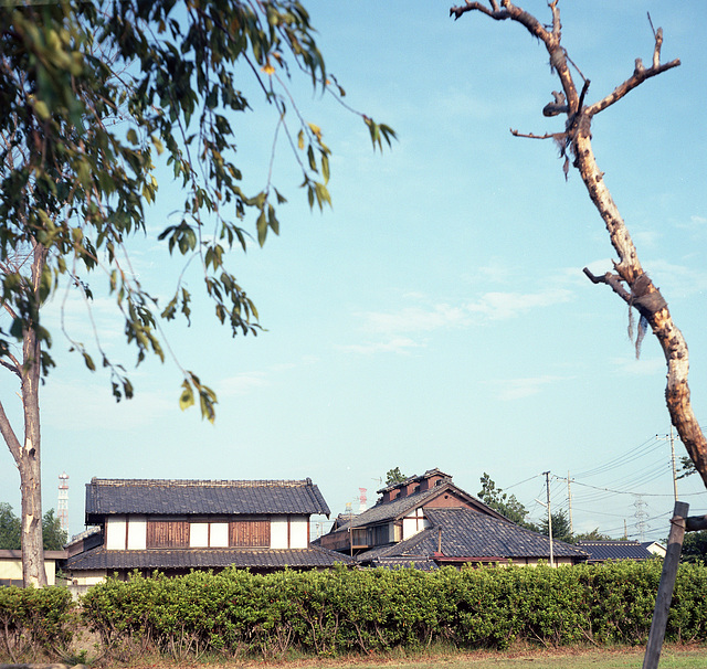 Old houses