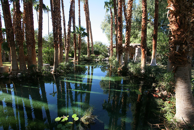 Furnace Creek Inn (3459)