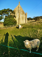 abbotsbury abbey, dorset