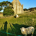 abbotsbury abbey, dorset