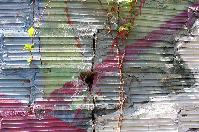 Crevice and cobwebs