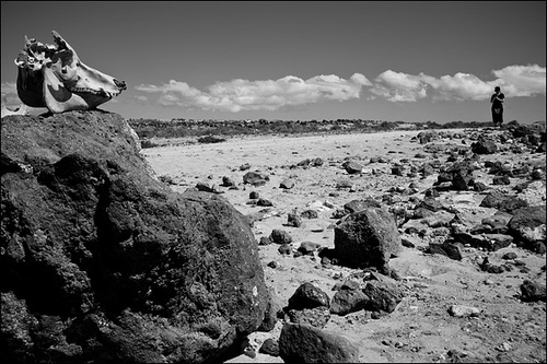 Fuerteventura, Islas Canarias, 2013.