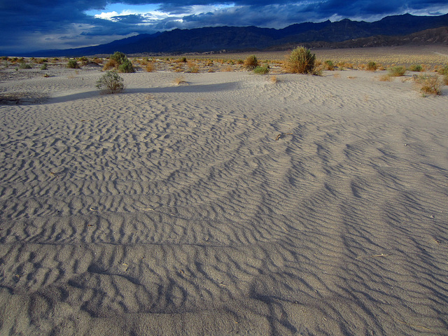 View From Old Stovepipe Wells (1929)