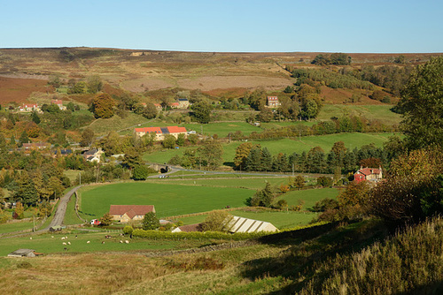 North Yorkshire Moors.