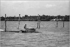 Pêche au filet