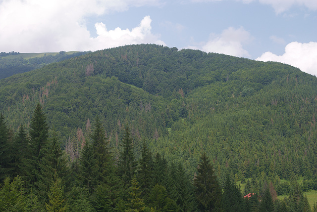 Welykyj Werch (Große Spitze)