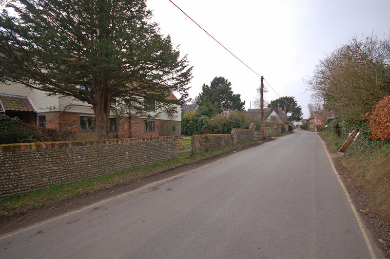 Old Farm and Garden walls. The St. Walberswick (5)