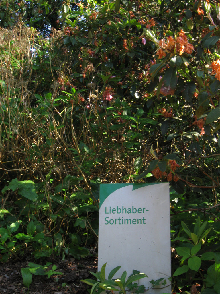 Liebhaber-Sortiment