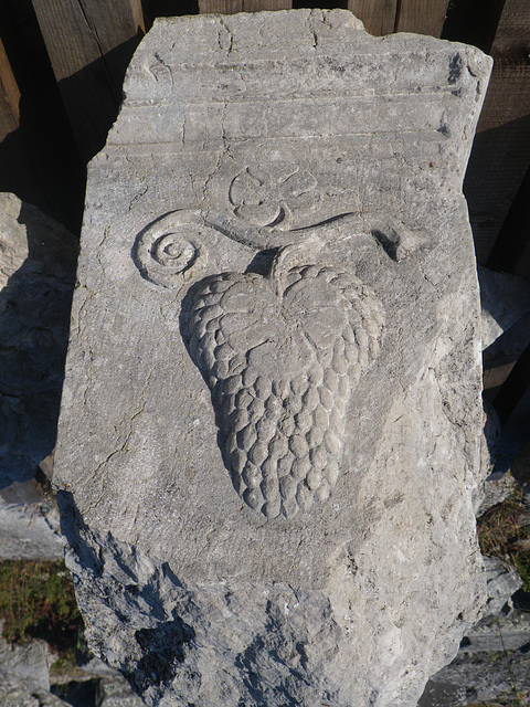 Nicopolis ad Istrum : décoration à la grappe de raisin.