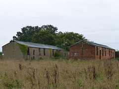 Stow Maries Aerodrome (7) - 22 October 2013