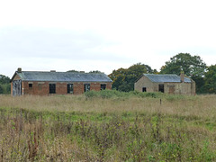 Stow Maries Aerodrome (8) - 22 October 2013