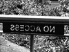 Backwards in Coming Forwards (Mono) - 7 October 2013