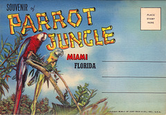 Parrot Jungle