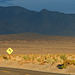 Death Valley Hwy 190 (3419)
