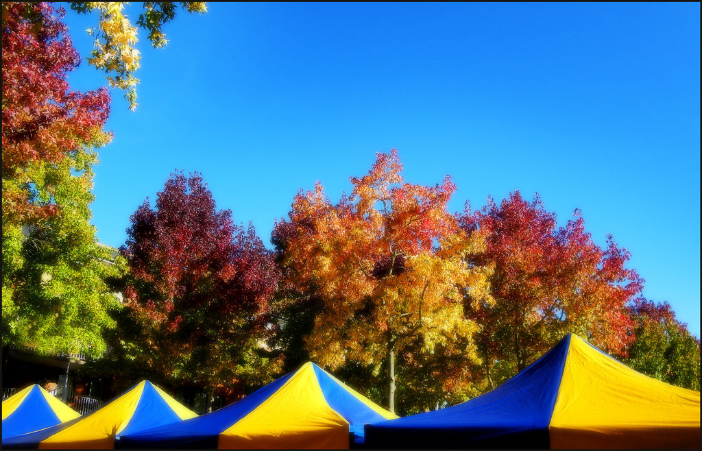 Autumn in Oxford