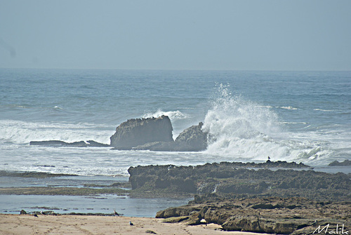 DSC00061