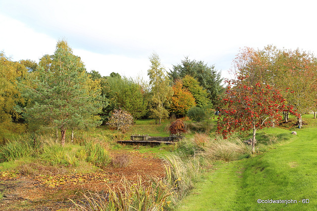 Autumn October Garden 2013