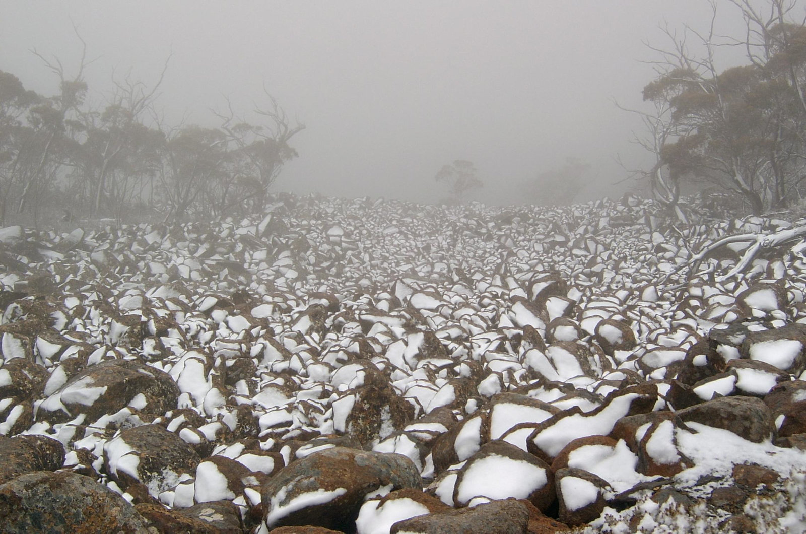 Mount Wellington, Tasmania.