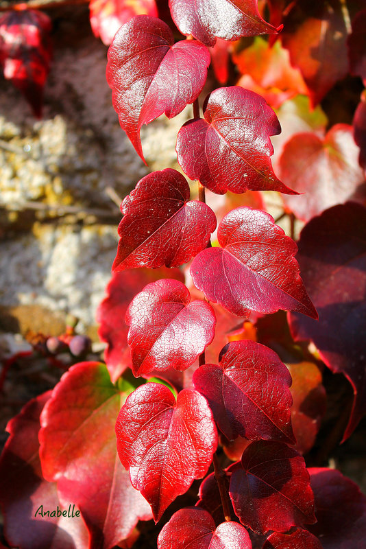 début d'automne