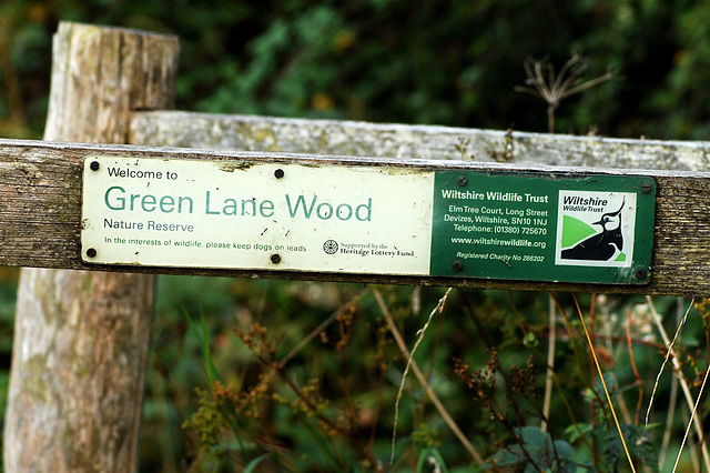 Green Lane Wood