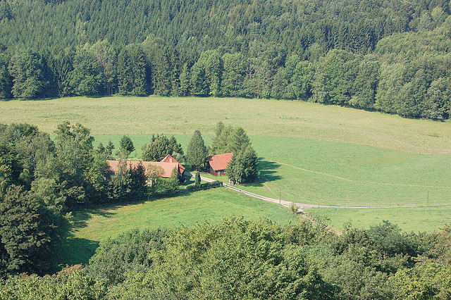 korto kun kampo kaj arbaro (Hof mit Feld und Wald)