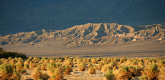 Death Valley (3426)