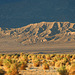 Death Valley (3426)