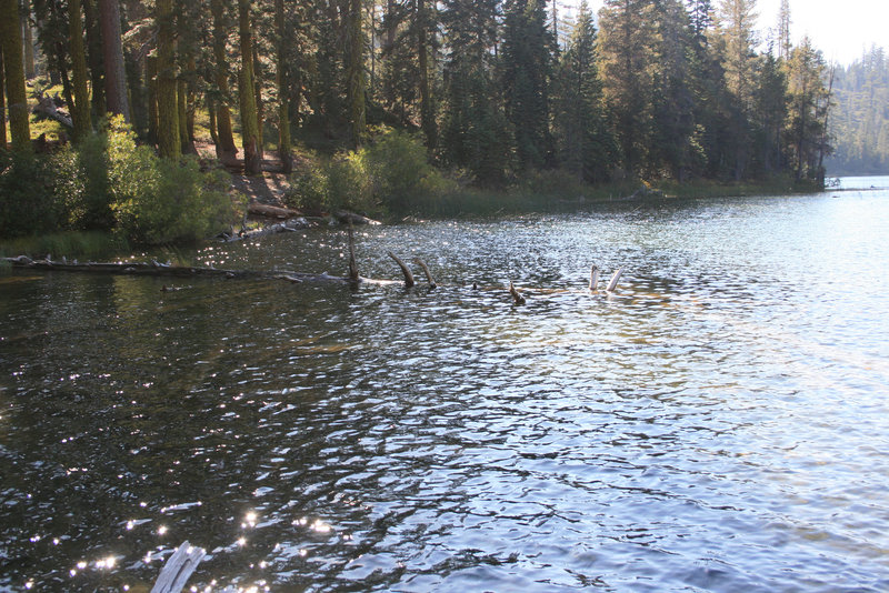 IMG_4922