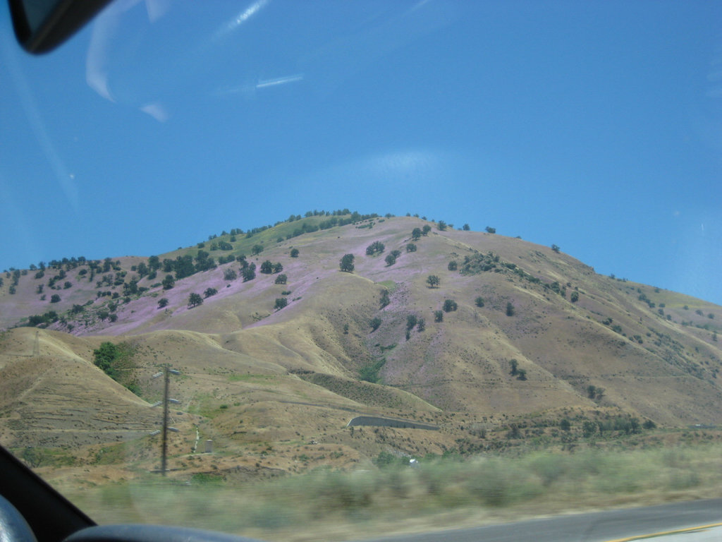 So Cal Deserts 21