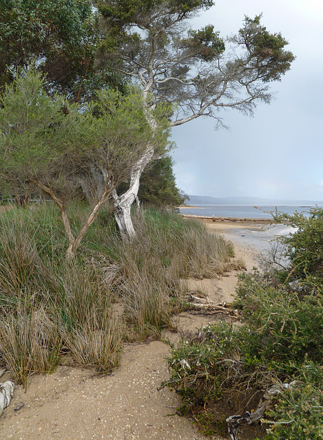 Western australian south west