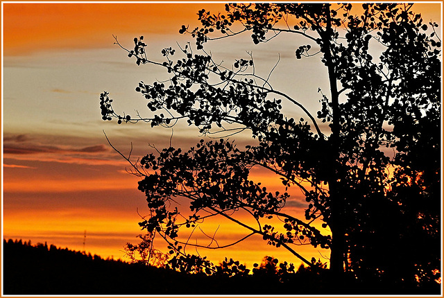 Sundown, Lac La Hache, BC