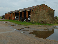 Stow Maries Aerodrome (20) - 22 October 2013