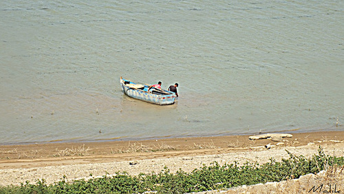 DSCF4032