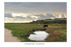 In the Cuckmere valley - nearing the sea - 30.10.2013