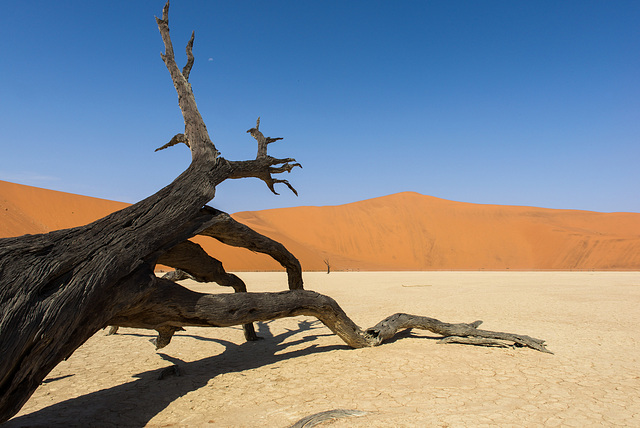 death valley +4 Namibia