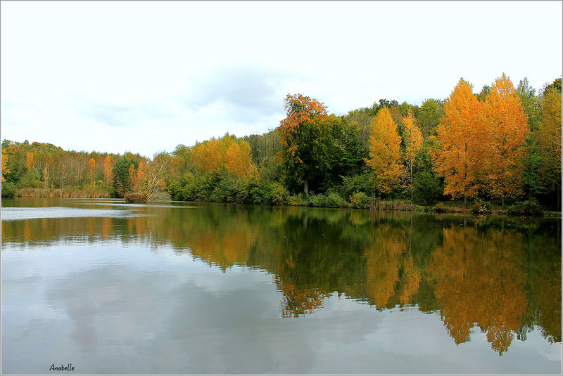 miroir automnal