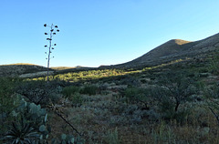 Ghost Town Trail