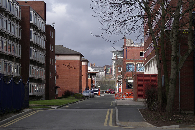 University of Manchester