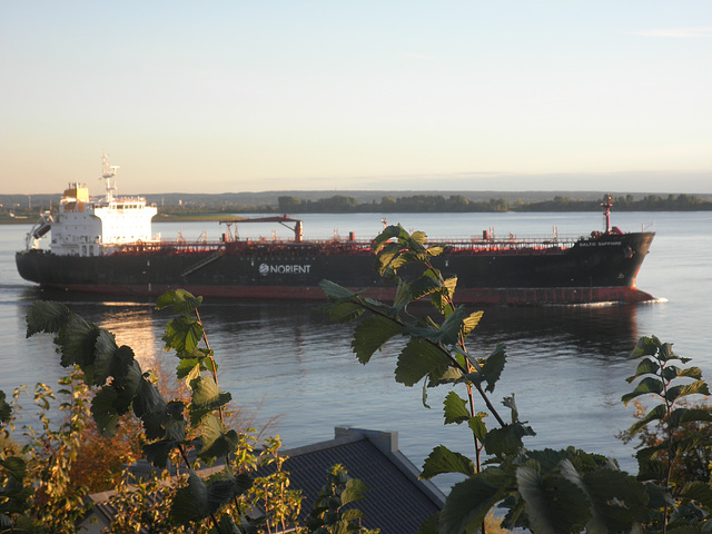 Baltic Sapphire auf der Elbe