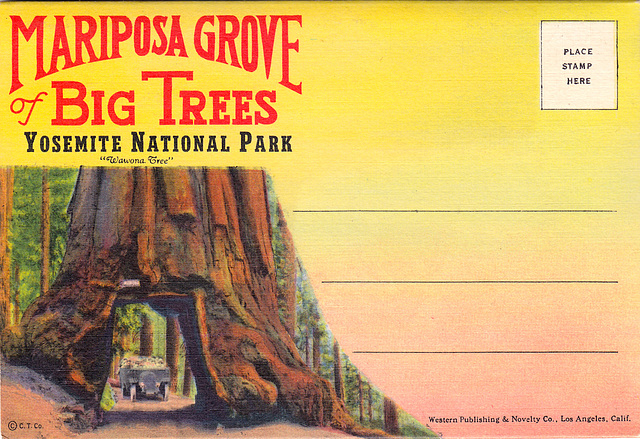 Mariposa Grove