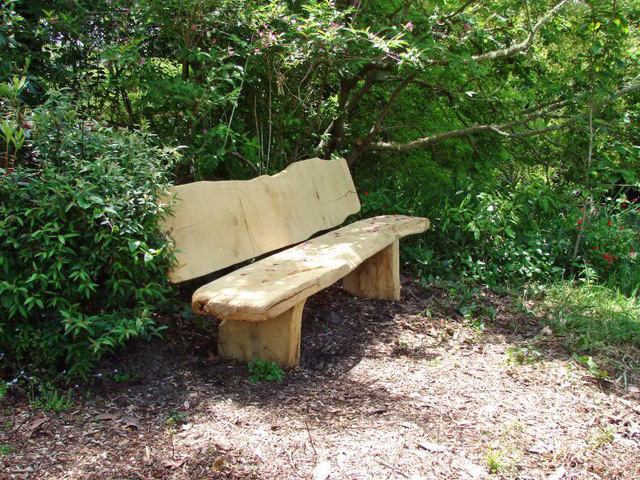 Seat By First Pond