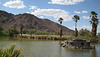 CA-NV-AZ Border 65