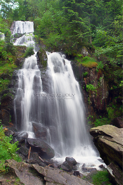 Cascade de Tendon