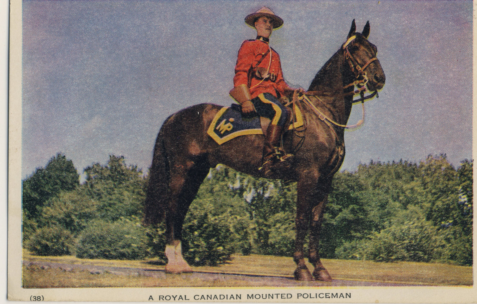 A Royal Canadian Mounted Policeman