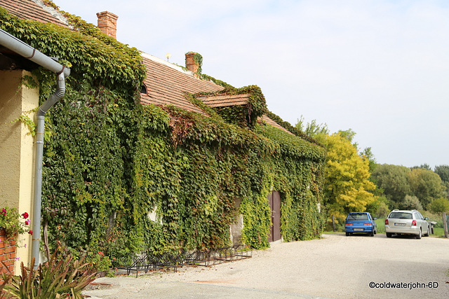 Fisherman's Inn, Balf, Hungary