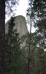 Devils Tower National Monument, WY (0548)