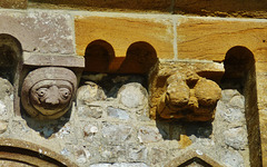 hawkchurch church, devon