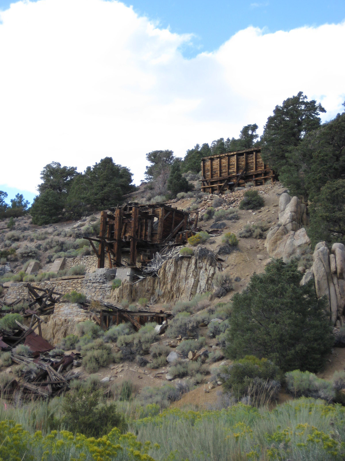 West Central NV 07