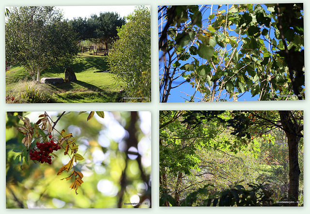 Autumn Sunshine and Blue Skies!